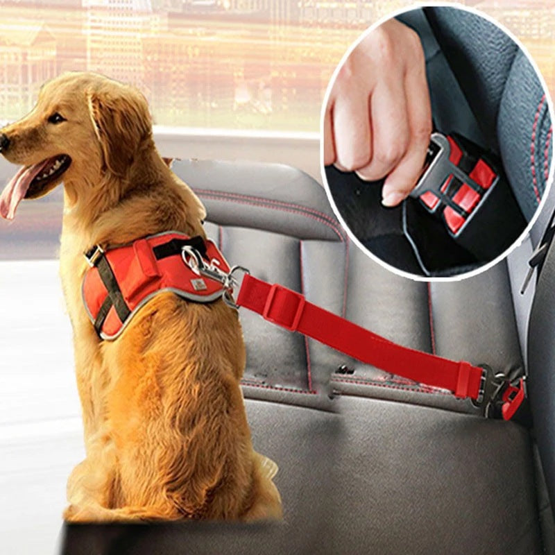Pet Car Seat Belt for Dogs – Adjustable Safety Leash